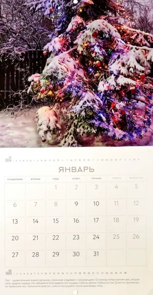 Календарь на 2025 год Наедине с природой