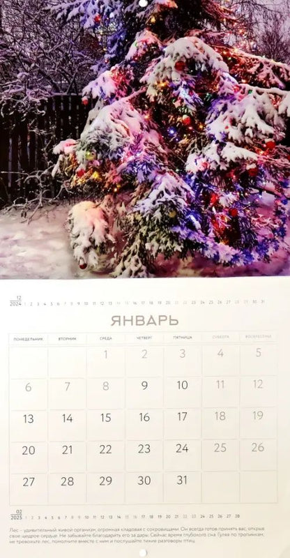 Календарь на 2025 год Наедине с природой