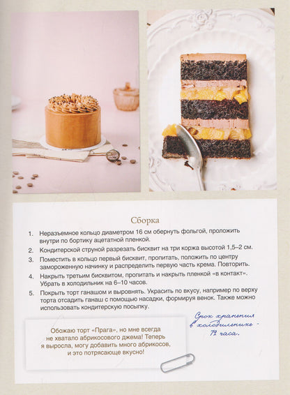 Алина Ахмадиева: Магия маминых рецептов. Авторские десерты. Современные текстуры. Вкус детства