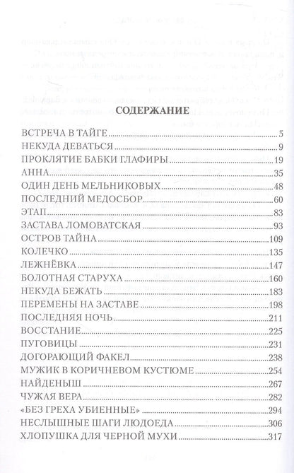 Владимир Топилин: Остров Тайна: роман