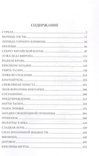 Владимир Топилин: Легенда о таёжной Пирамиде: роман