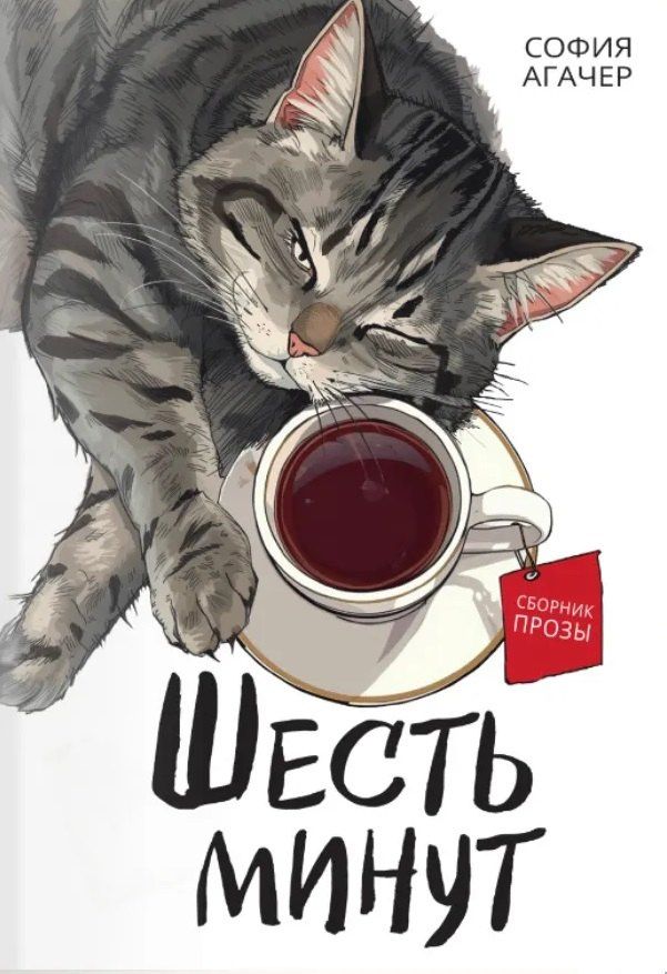 София Агачер: Шесть минут