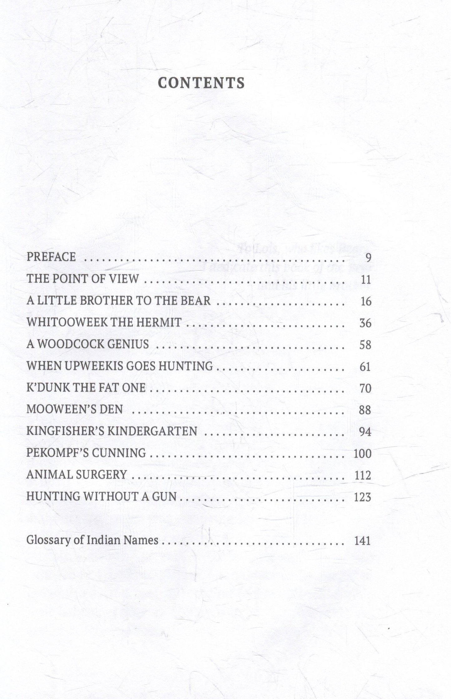 A Little Brother to the Bear: And Other Animal Studies