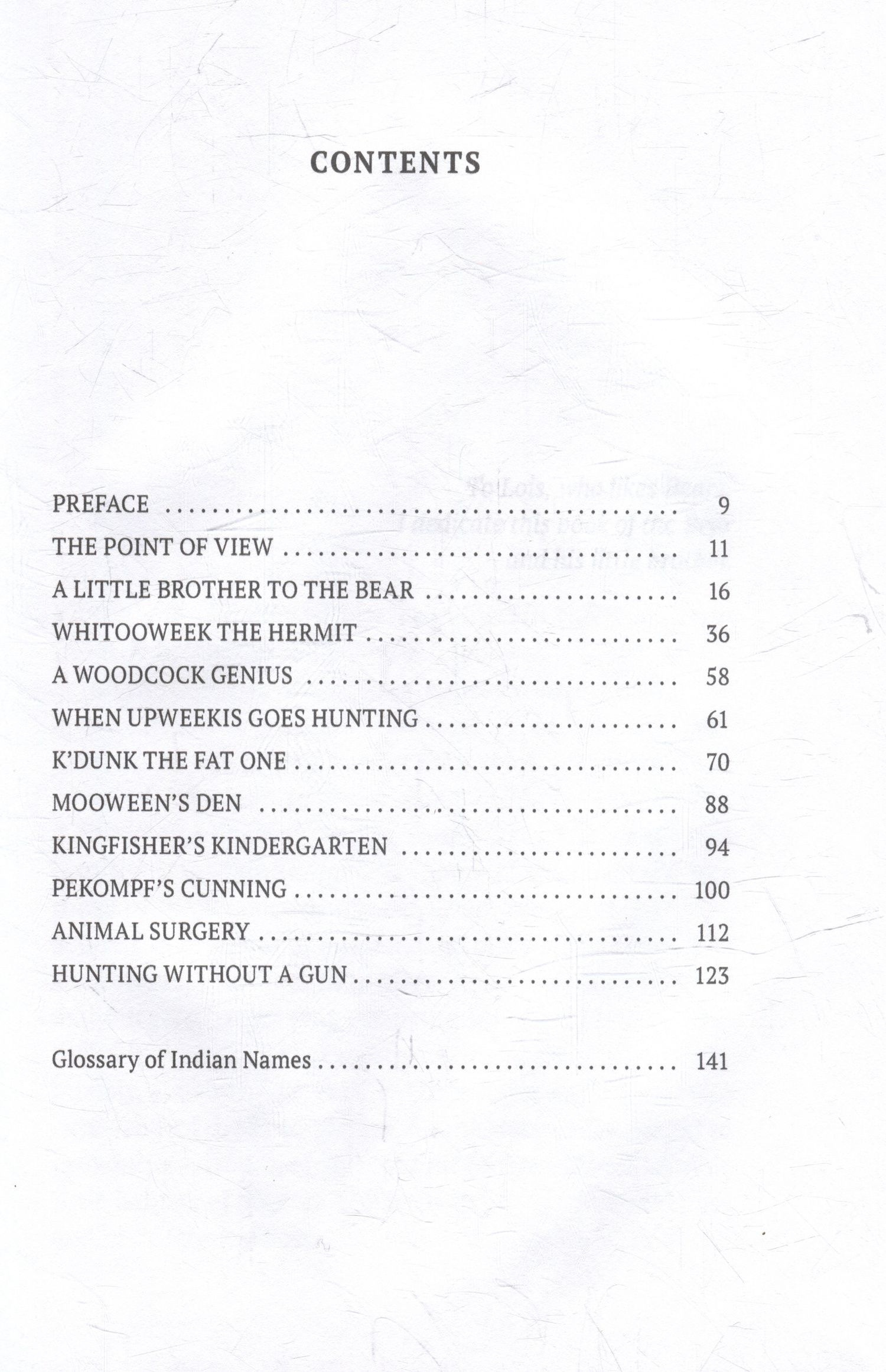 A Little Brother to the Bear: And Other Animal Studies