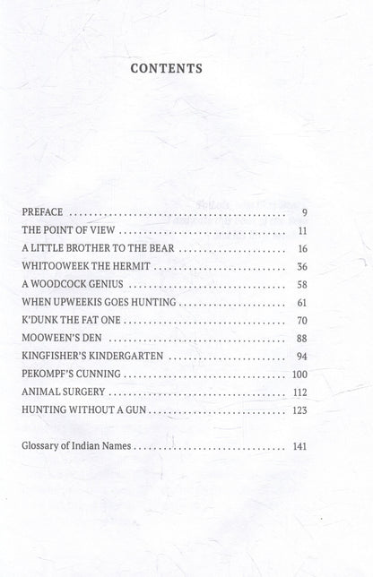 A Little Brother to the Bear: And Other Animal Studies