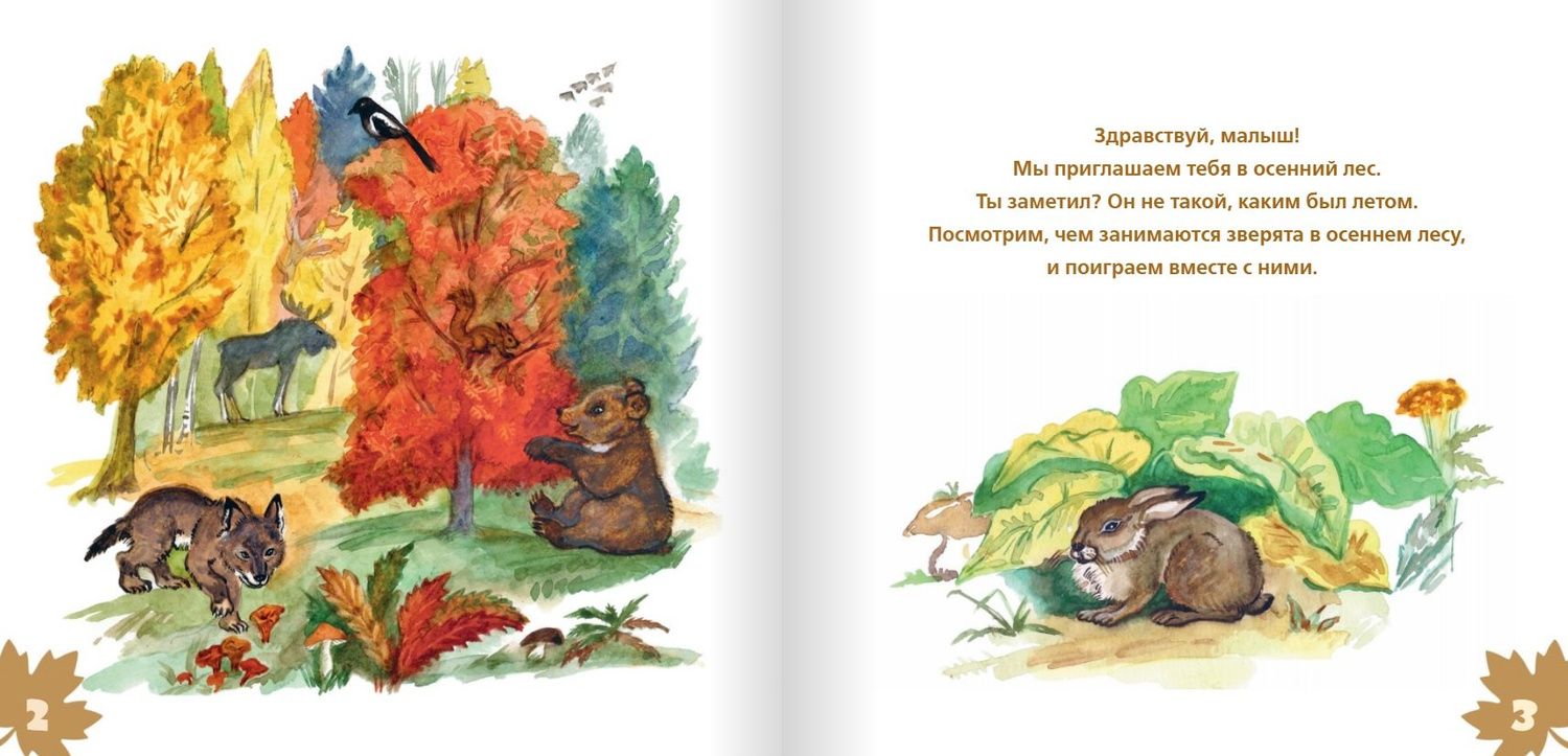 Лесные истории. Осень