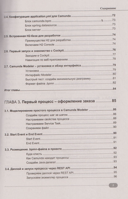 Александр Певненко: Spring, Spring Boot и Camunda в одном стеке: разработка, тестирование и деплой приложений + виртуальный диск с приложением, кодом и примерами