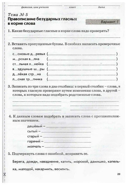 Надежда Голубь: Русский язык. 3 класс. Зачетная тетрадь. Тематический контроль знаний учащихся. ФГОС