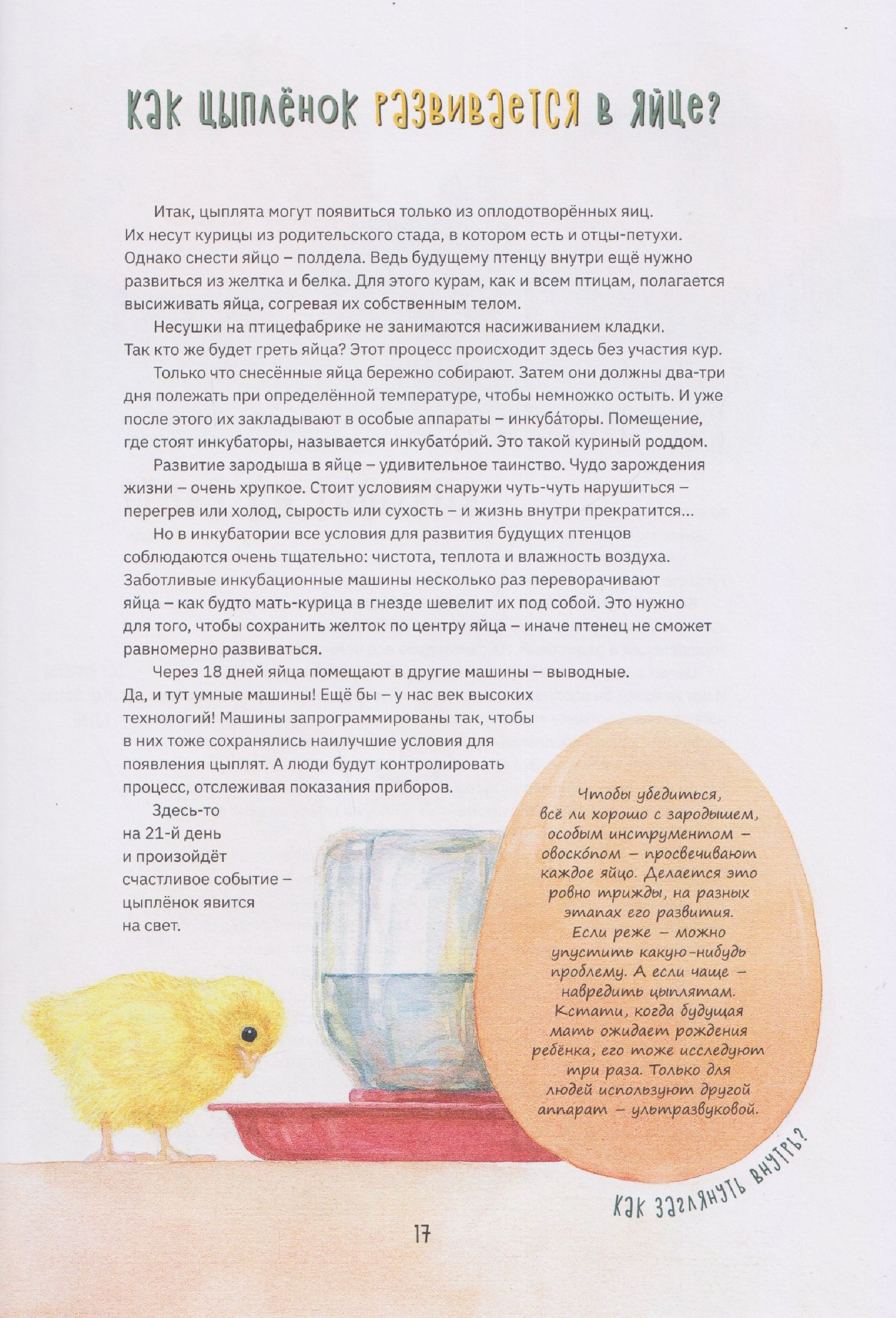 Ольга Коробкова: Секреты куриного царства