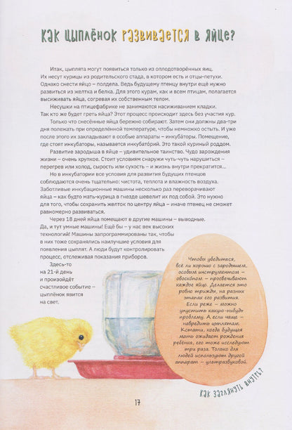 Ольга Коробкова: Секреты куриного царства