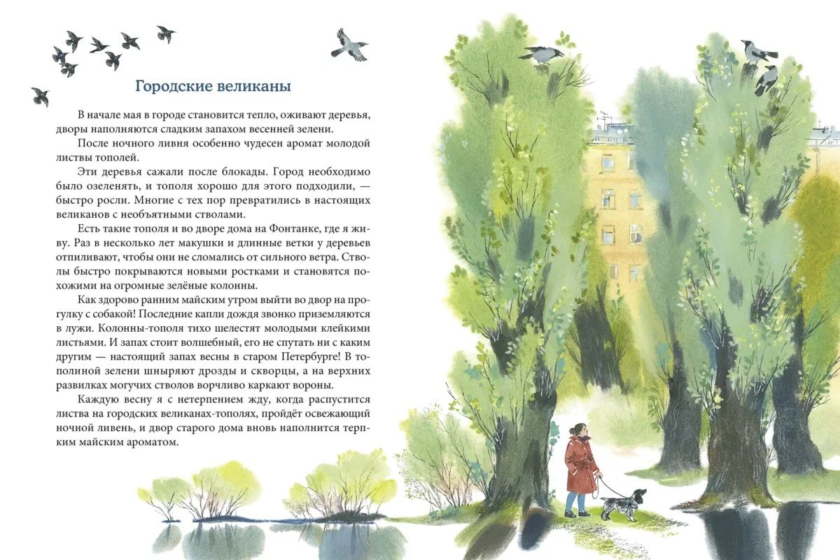 Евгения Чарушина-Капустина: Перламутровый город. Рассказы о Петербурге