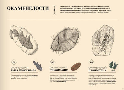 Утраченные пейзажи Земли