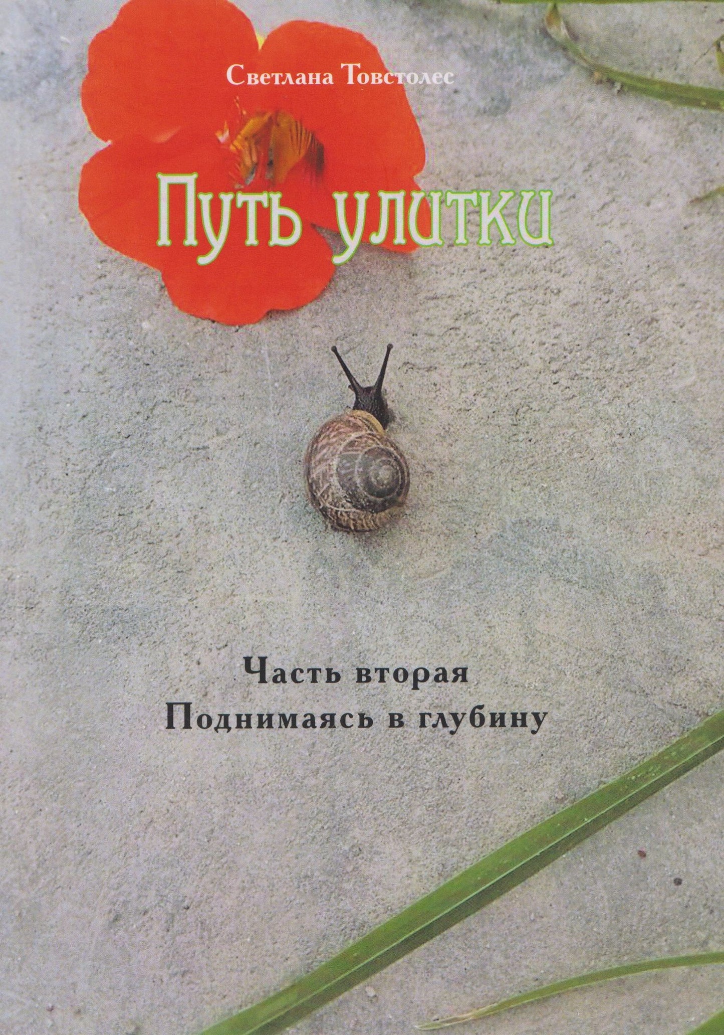 Светлана Товстолес: Путь улитки. Часть вторая. Поднимаясь в глубину