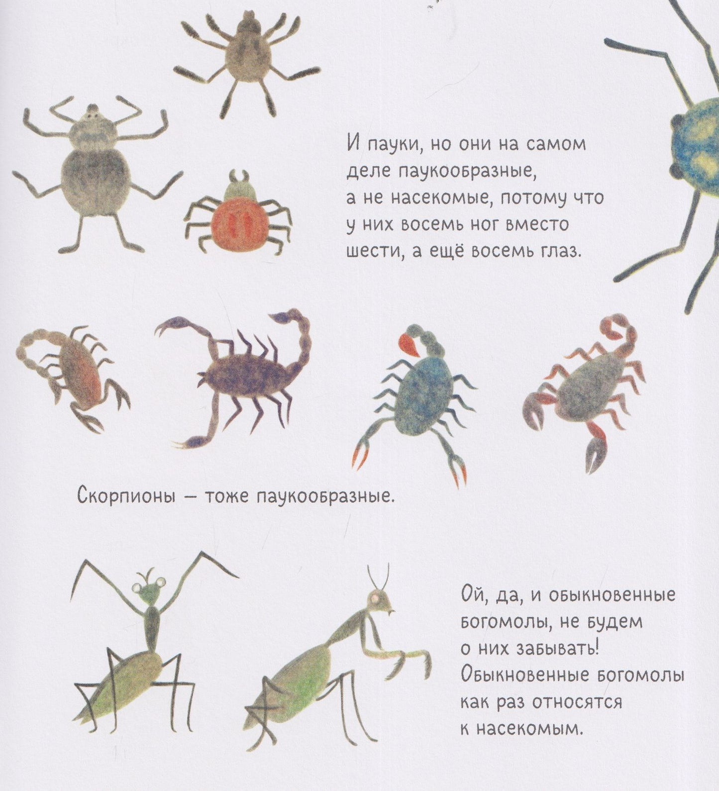 Мильвия: Нарисуй мне...