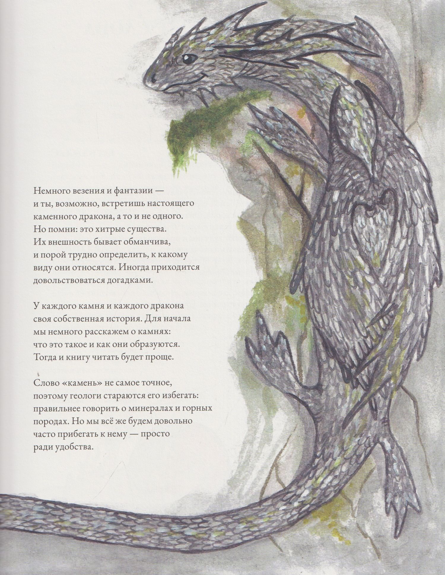 Каменные драконы. Книга о драконах, камнях и минералах