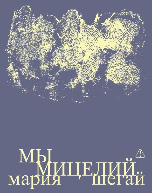 Мария Шегай: Мы мицелий