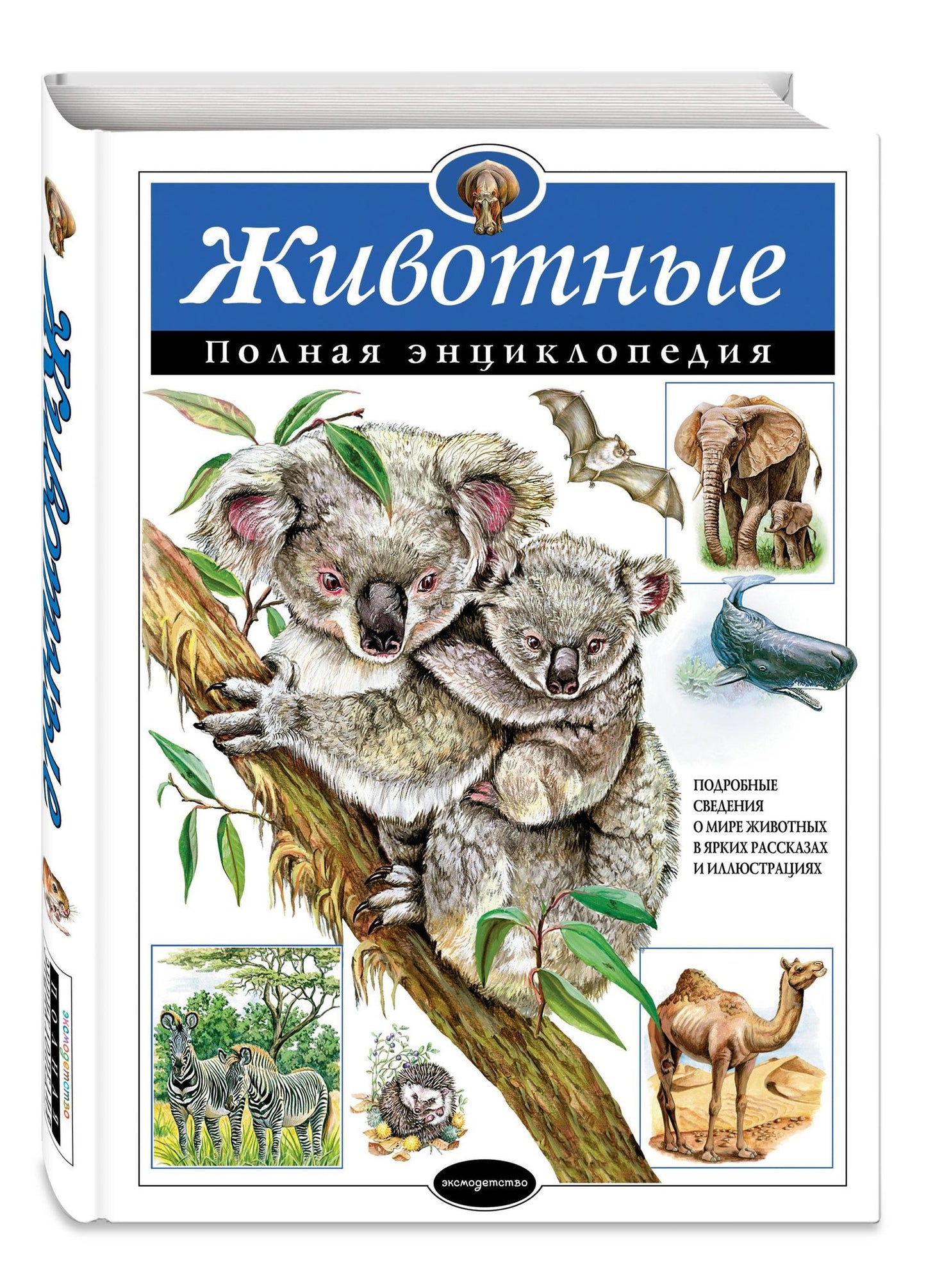 Юлия Школьник: Животные. Полная энциклопедия