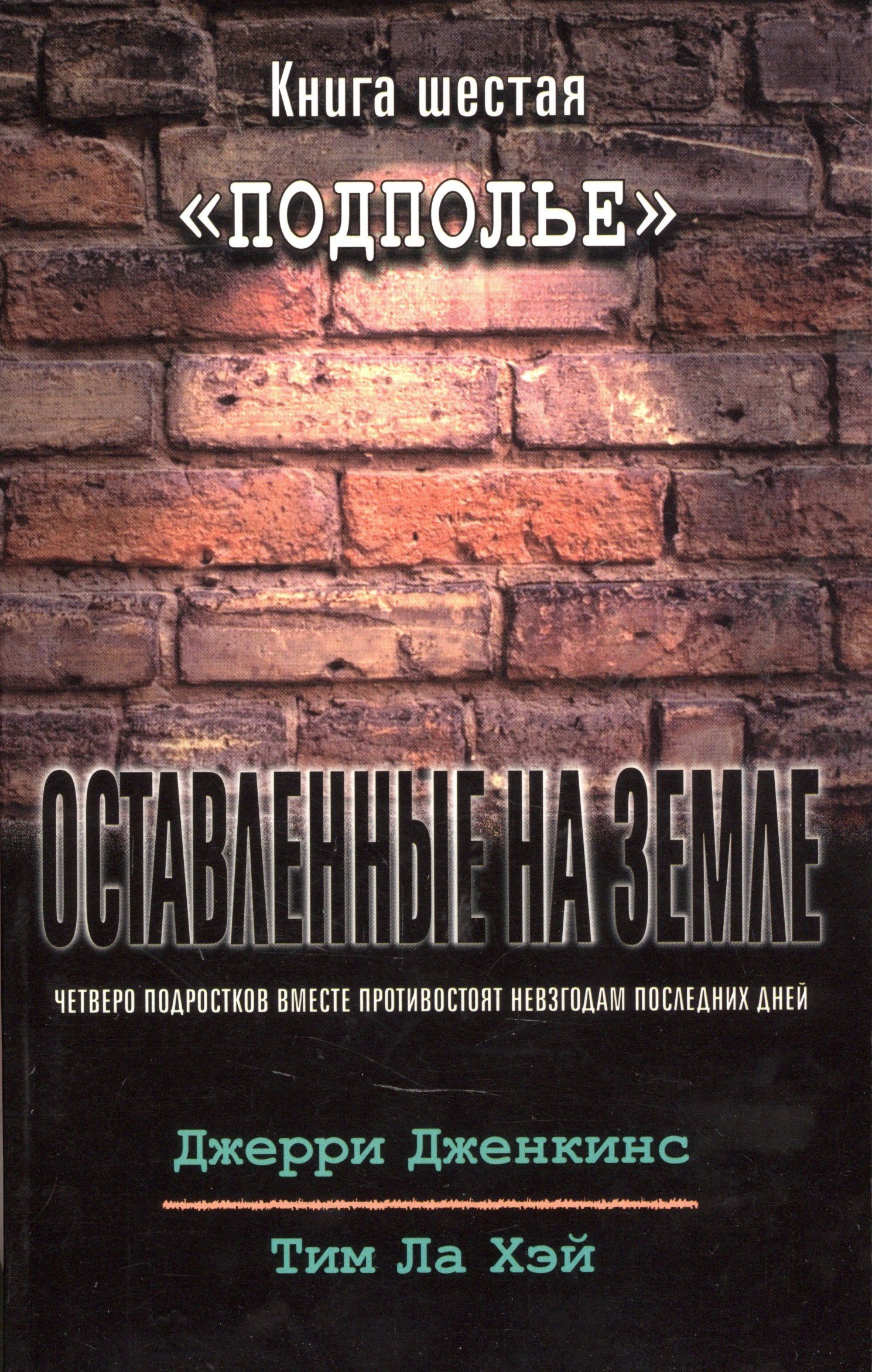 Тим Хэй: Оставленные на земле. Книга 6. Подполье
