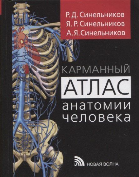 Александр Синельников: Карманный атлас анатомии человека