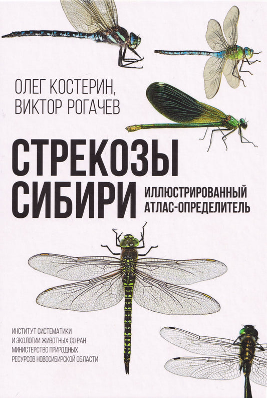 Стрекозы Сибири: Иллюстрированный атлас-определитель