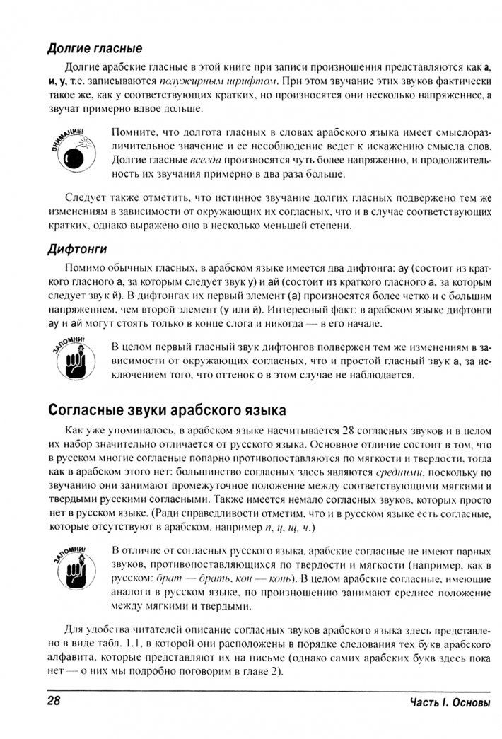 Амин Бучентуф: Арабский язык для чайников