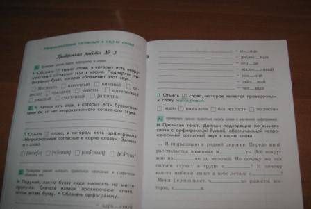 Екатерина Бунеева: КИМ. Проверочные и контрольные работы по русскому языку. 3 класс. Вариант 1