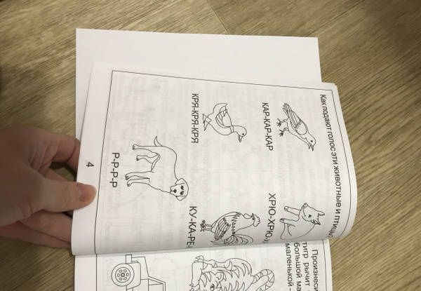 Логопедическая тетрадь на звуки [Р], [Р']. Солнечные ступеньки