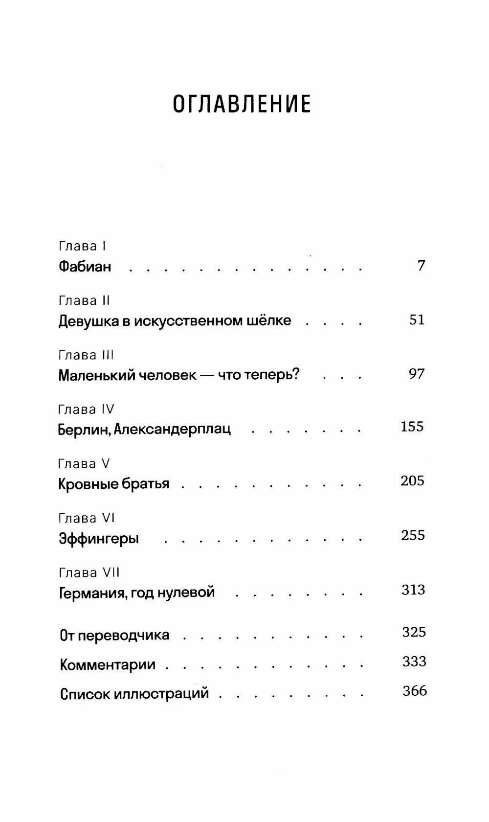 Анна Хольцфогт: Эрни. Мнения одной моралистки: Роман