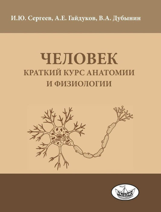 Вячеслав Дубынин: Человек: краткий курс анатомии и физиологии
