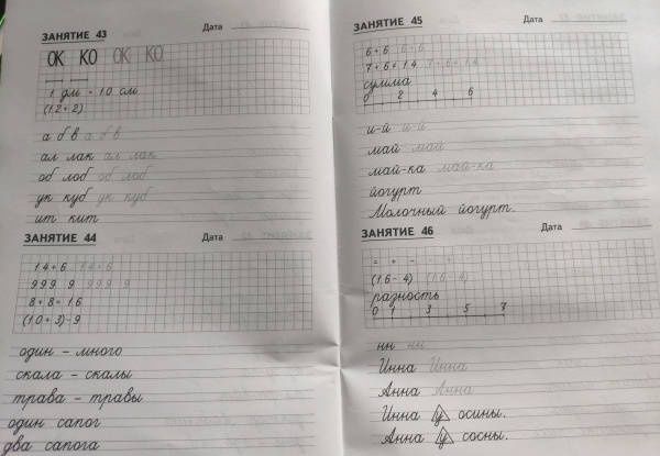 Татьяна Пухова: Комбинированные задания по чистописанию. 1 класс. 48 заданий по русскому языку и математике
