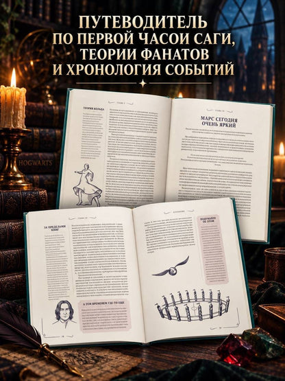 Элисон Сиггард: Гарри Поттер. Неофициальная книга-компаньон. Том 1. Философский камень: углубленное исследование