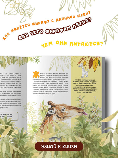 Анна Кириллова: Изысканный жираф