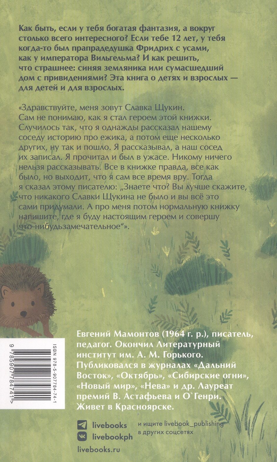 Евгений Мамонтов: Приключения Славки Щукина. 33 истории про вранье. Повесть