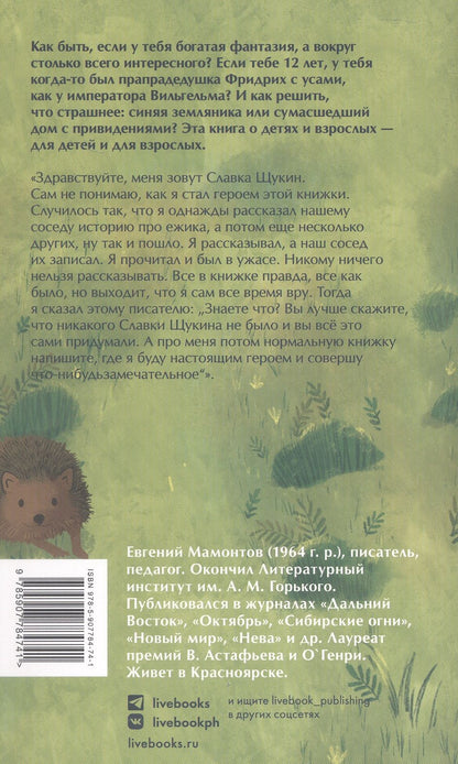 Евгений Мамонтов: Приключения Славки Щукина. 33 истории про вранье. Повесть