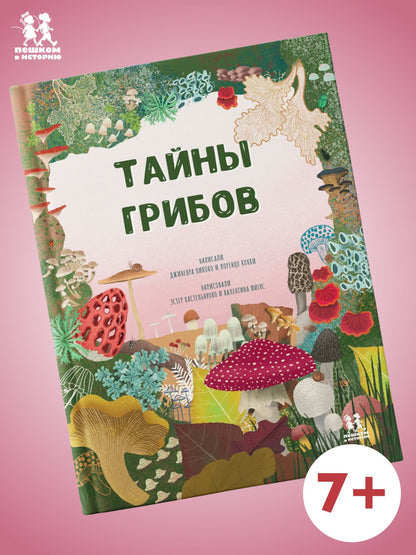 Пикоко Лоренцо: Тайны грибов