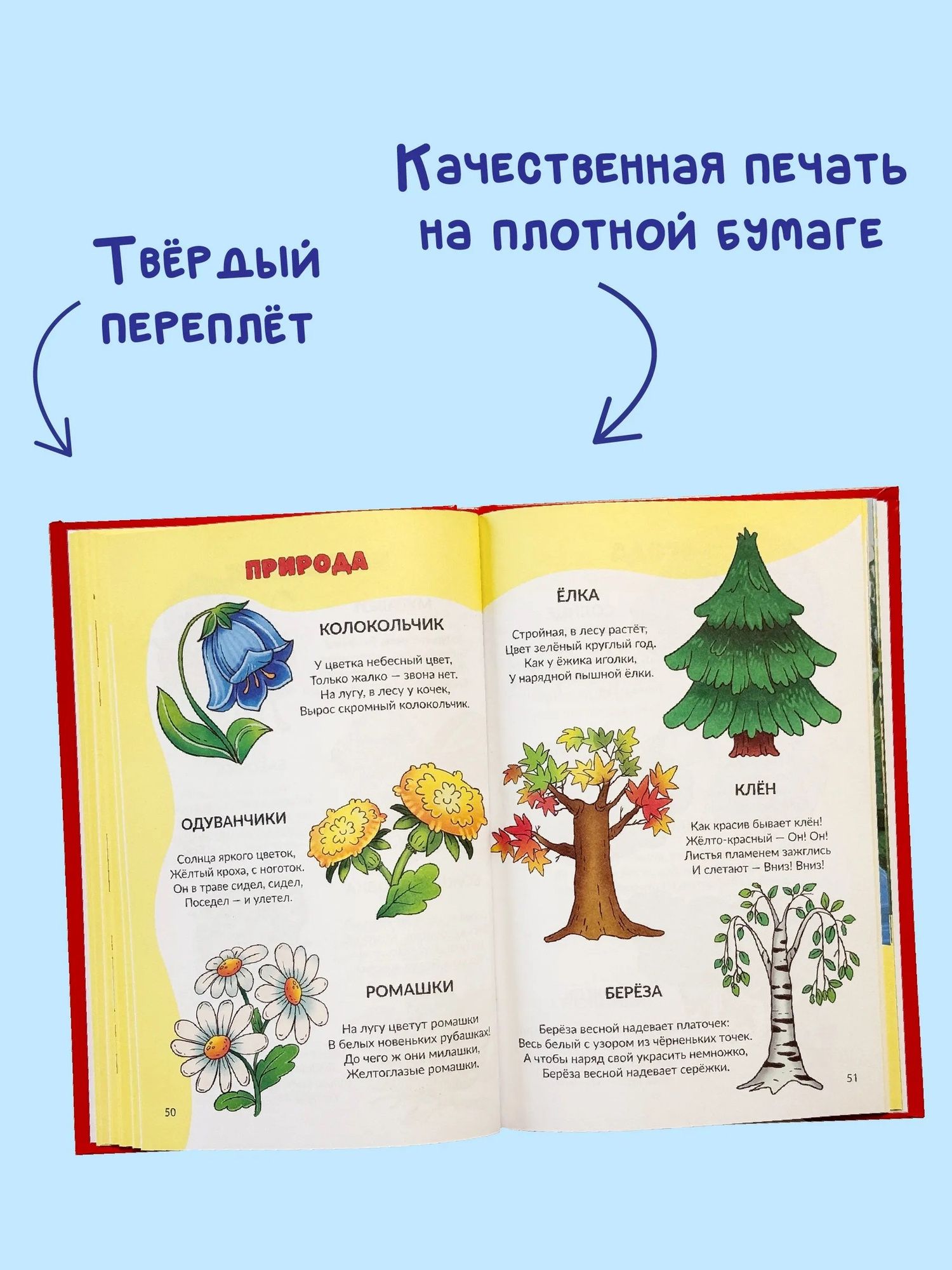 Светлана Панкова: Я учусь говорить