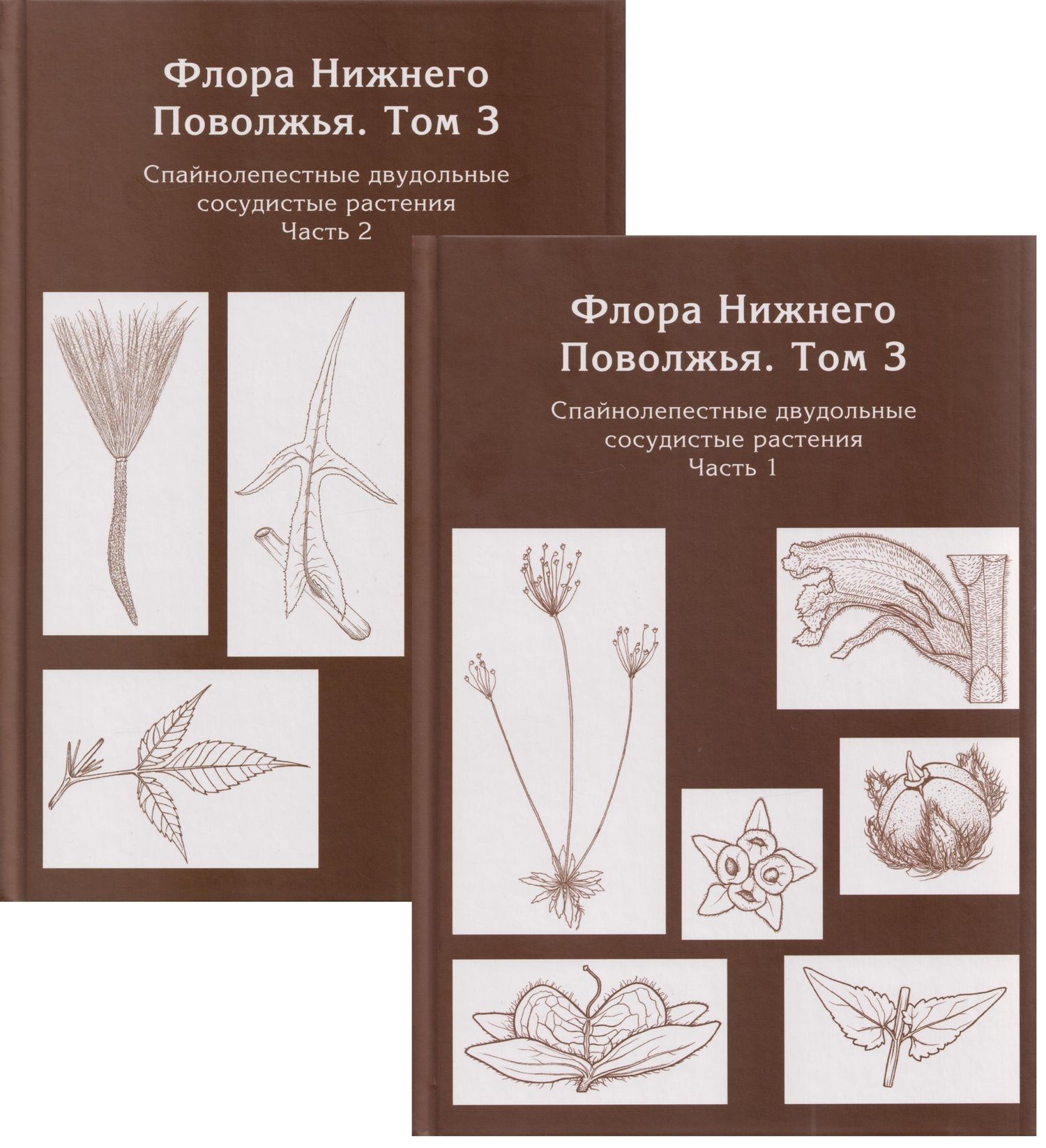 Флора Нижнего Поволжья. Том 3. В 2-х частях (комплект из 2-х книг)