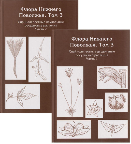 Флора Нижнего Поволжья. Том 3. В 2-х частях (комплект из 2-х книг)