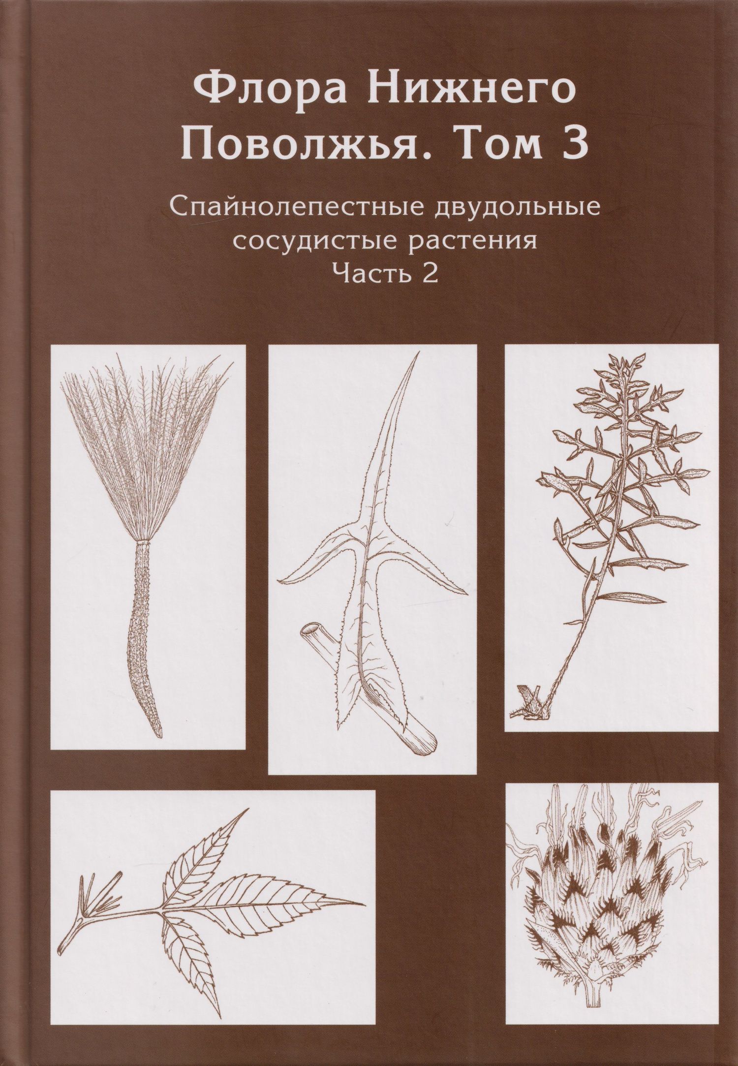 Флора Нижнего Поволжья. Том 3. В 2-х частях (комплект из 2-х книг)