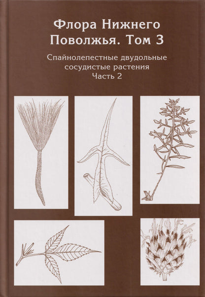 Флора Нижнего Поволжья. Том 3. В 2-х частях (комплект из 2-х книг)