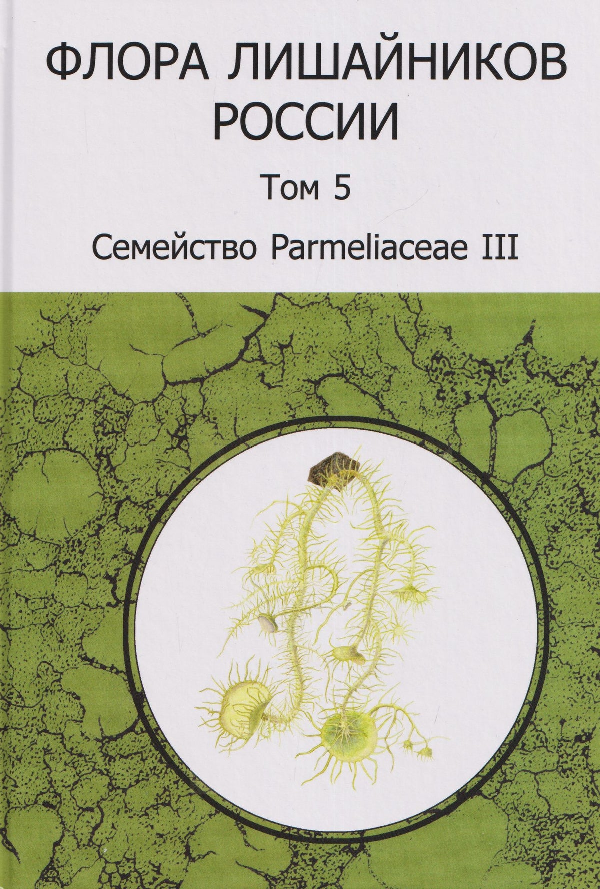 Михаил Андреев: Флора лишайников России. Том 5. Семейство Parmeliaceae III