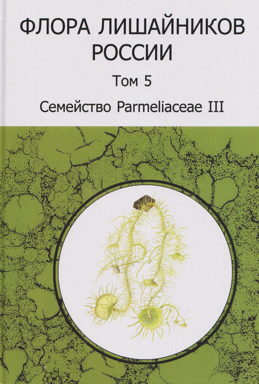Михаил Андреев: Флора лишайников России. Том 5. Семейство Parmeliaceae III