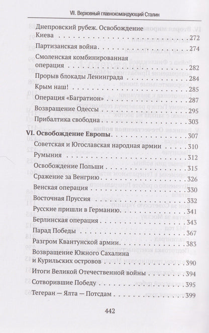 Владимир Анищенков: Верховный