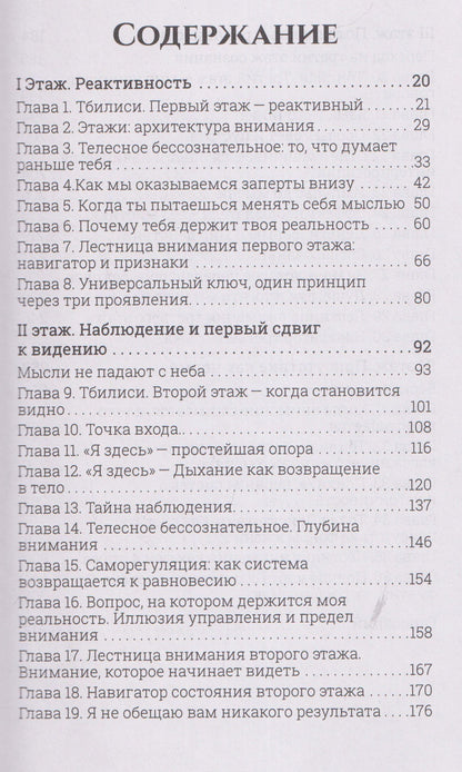Лаврин: Этажи. Язык Реальности