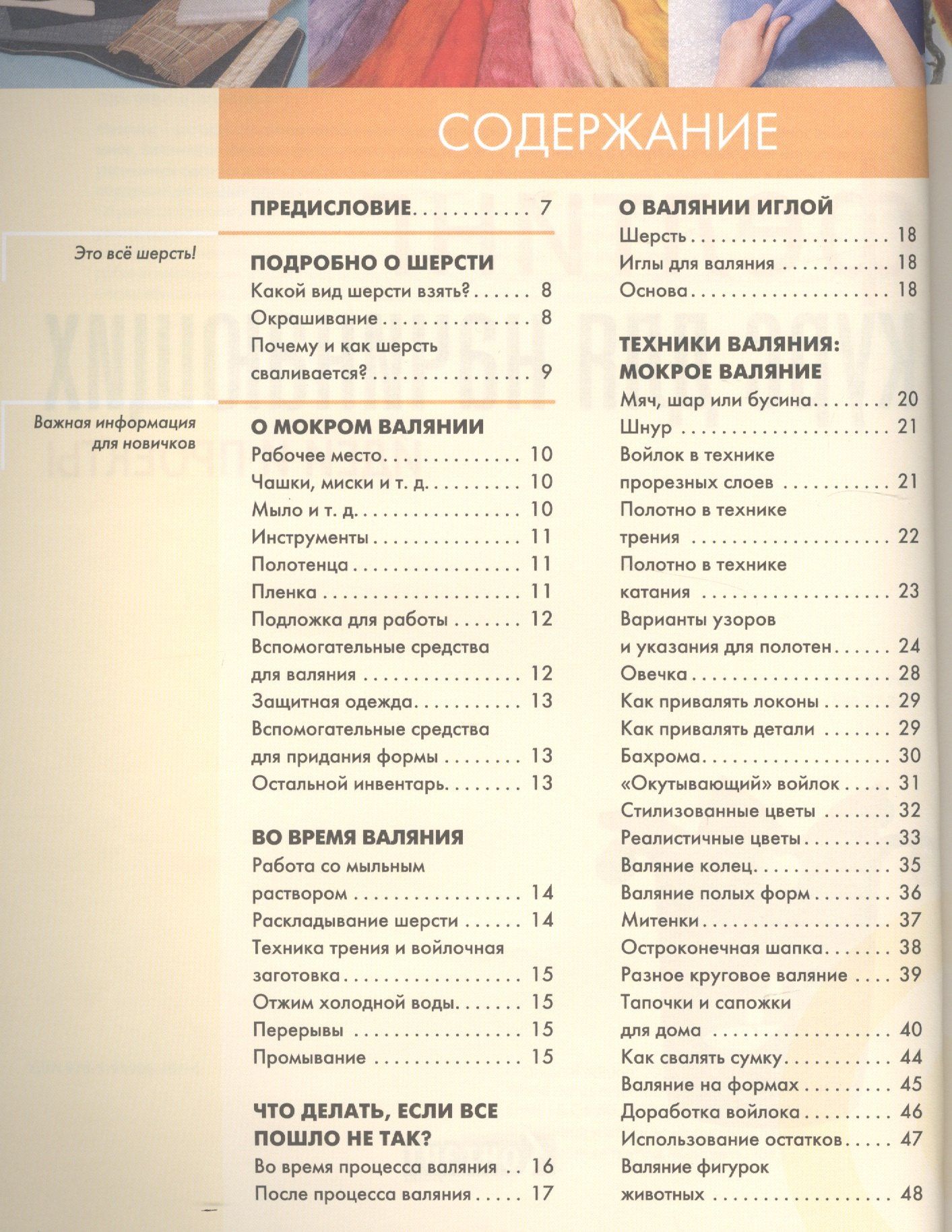 Е. Зуевская: Фелтинг: курс для начинающих. Идеи и проекты