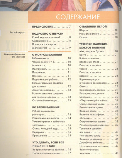 Е. Зуевская: Фелтинг: курс для начинающих. Идеи и проекты