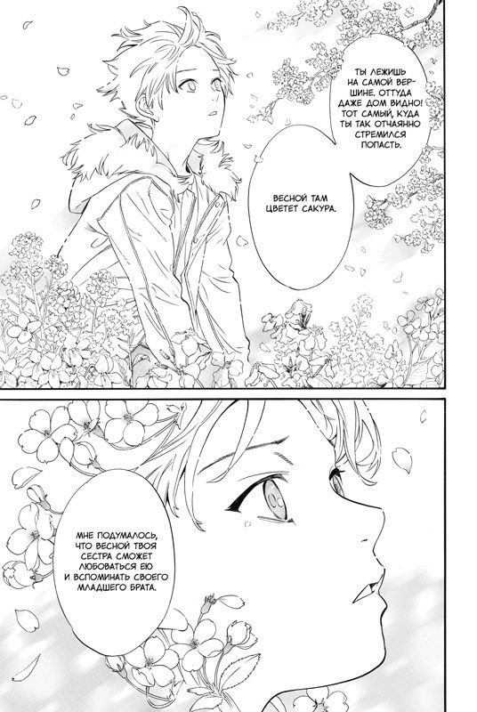 Адатитока: Бездомный бог. Том 26 (Noragami). Манга