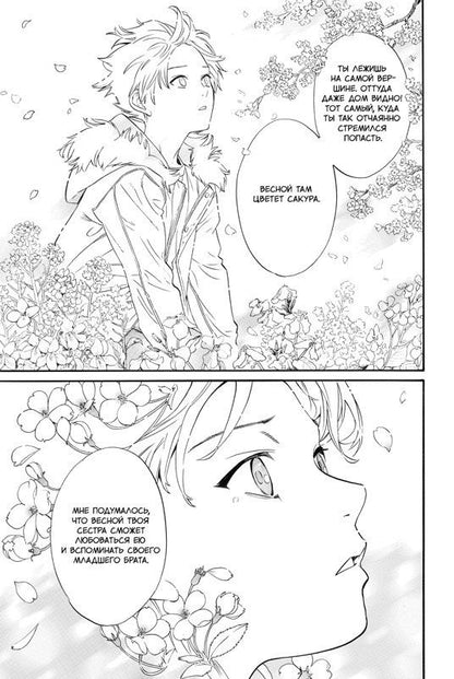 Адатитока: Бездомный бог. Том 26 (Noragami). Манга