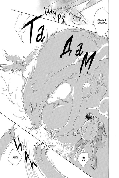 Юки Мидорикава: Тетрадь дружбы Нацумэ. Том 9 (Natsume's Book of Friends). Манга