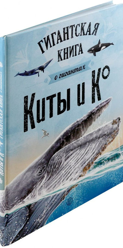 Киты и Ко. Гигантская книга о гигантах